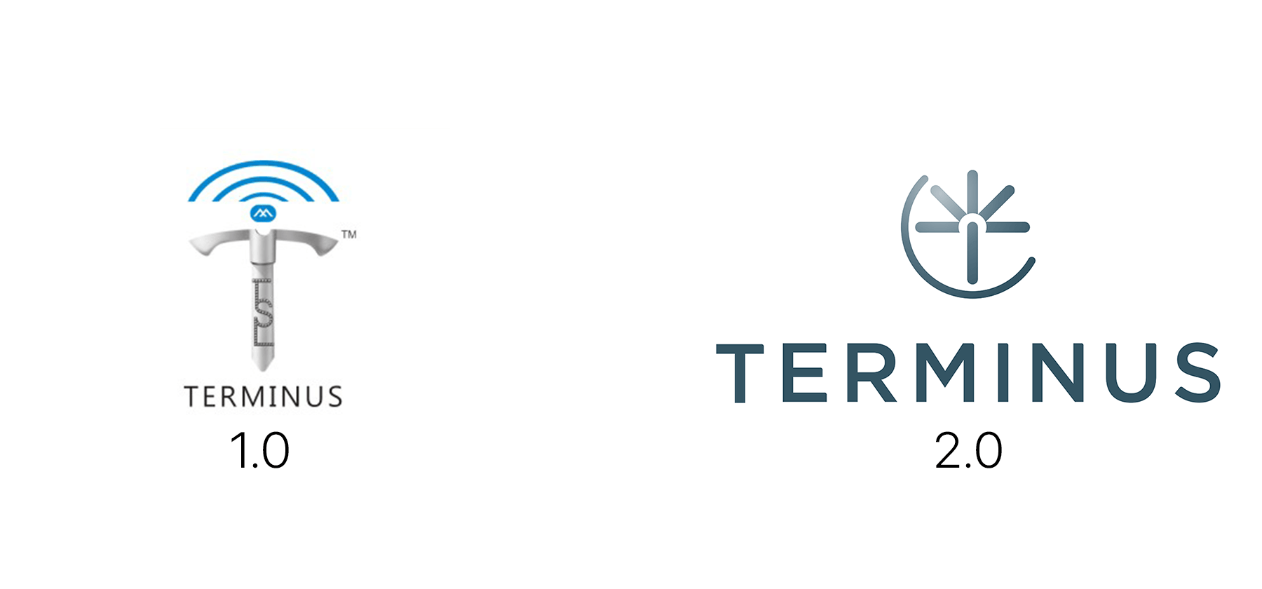 Terminus logo image